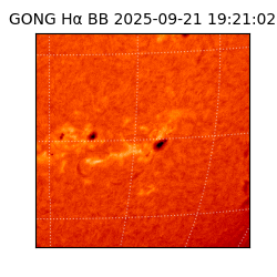 gong - 2025-09-21T19:21:02