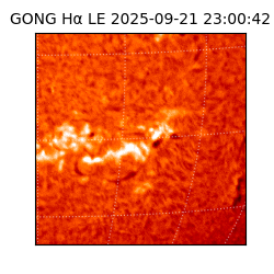 gong - 2025-09-21T23:00:42