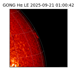 gong - 2025-09-21T01:00:42