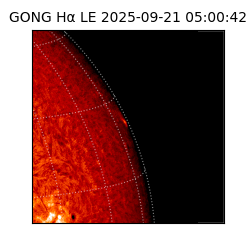 gong - 2025-09-21T05:00:42