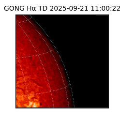 gong - 2025-09-21T11:00:22
