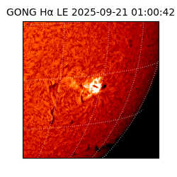 gong - 2025-09-21T01:00:42