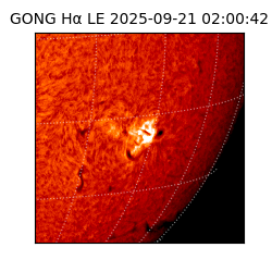 gong - 2025-09-21T02:00:42