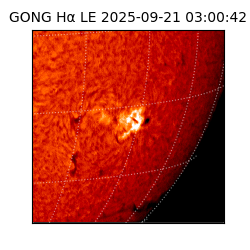 gong - 2025-09-21T03:00:42