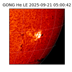gong - 2025-09-21T05:00:42