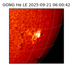 gong - 2025-09-21T06:00:42