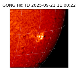 gong - 2025-09-21T11:00:22