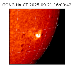 gong - 2025-09-21T16:00:42