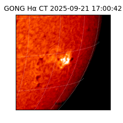 gong - 2025-09-21T17:00:42