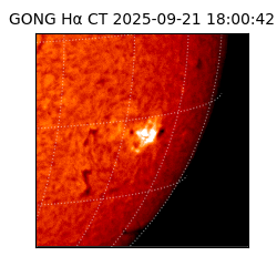 gong - 2025-09-21T18:00:42