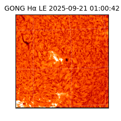 gong - 2025-09-21T01:00:42
