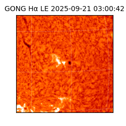 gong - 2025-09-21T03:00:42