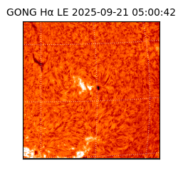 gong - 2025-09-21T05:00:42