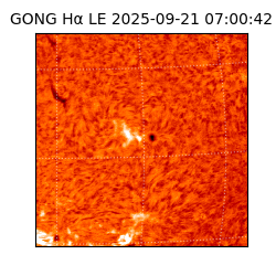 gong - 2025-09-21T07:00:42