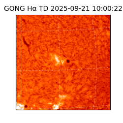 gong - 2025-09-21T10:00:22