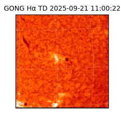 gong - 2025-09-21T11:00:22