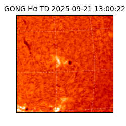 gong - 2025-09-21T13:00:22