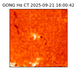 gong - 2025-09-21T16:00:42