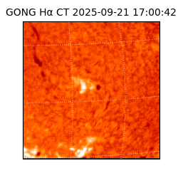 gong - 2025-09-21T17:00:42