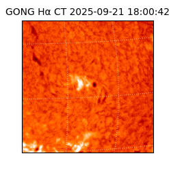 gong - 2025-09-21T18:00:42