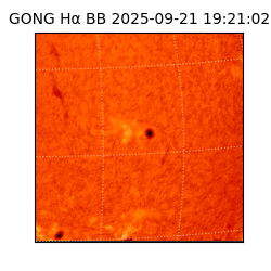 gong - 2025-09-21T19:21:02