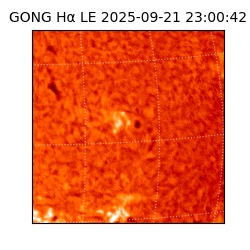 gong - 2025-09-21T23:00:42