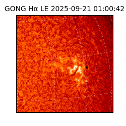 gong - 2025-09-21T01:00:42