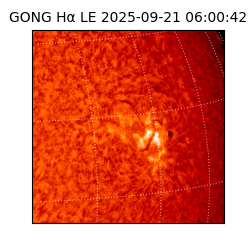 gong - 2025-09-21T06:00:42