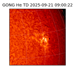 gong - 2025-09-21T09:00:22