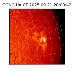 gong - 2025-09-21T20:00:42