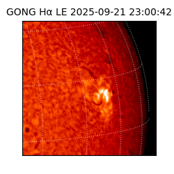 gong - 2025-09-21T23:00:42