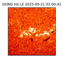 gong - 2025-09-21T02:00:42