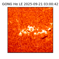 gong - 2025-09-21T03:00:42