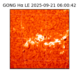 gong - 2025-09-21T06:00:42