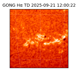 gong - 2025-09-21T12:00:22