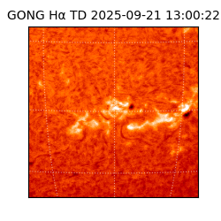 gong - 2025-09-21T13:00:22