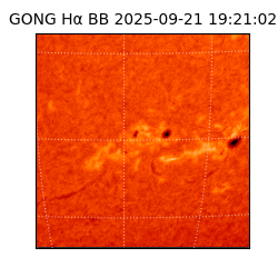 gong - 2025-09-21T19:21:02