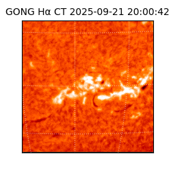 gong - 2025-09-21T20:00:42