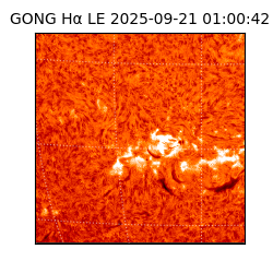 gong - 2025-09-21T01:00:42