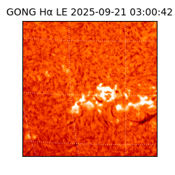 gong - 2025-09-21T03:00:42