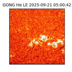 gong - 2025-09-21T05:00:42