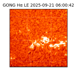 gong - 2025-09-21T06:00:42