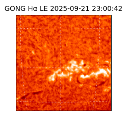 gong - 2025-09-21T23:00:42