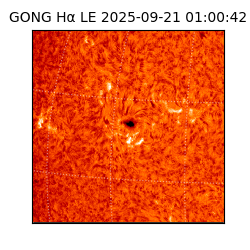 gong - 2025-09-21T01:00:42