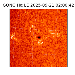 gong - 2025-09-21T02:00:42