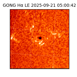 gong - 2025-09-21T05:00:42