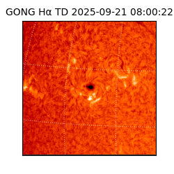 gong - 2025-09-21T08:00:22