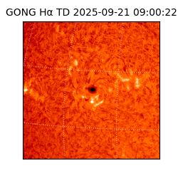 gong - 2025-09-21T09:00:22