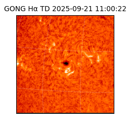 gong - 2025-09-21T11:00:22