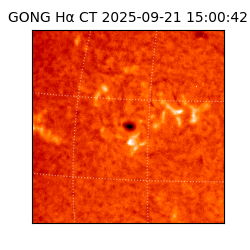 gong - 2025-09-21T15:00:42